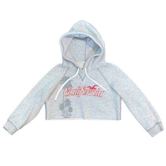 Vintage Hollister Crop Top Hoodie with embroidering and 3/4 length sleeves - Picture 1 of 8